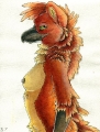 йифф FURRY - YIFF арта