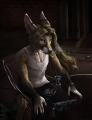 йифф FURRY - YIFF арта