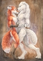 йифф FURRY - YIFF арта