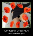 Эротические демотиваторы