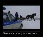 Лучшие демотиваторы.