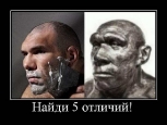 Лучшие демотиваторы.