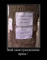 Лучшие демотиваторы.