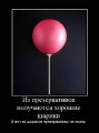 Лучшие демотиваторы.