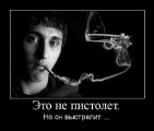 Лучшие демотиваторы.