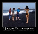 Лучшие демотиваторы.