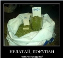 Лучшие демотиваторы.