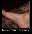 Лучшие демотиваторы.