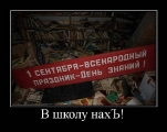 Лучшие демотиваторы.