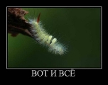 Лучшие демотиваторы.