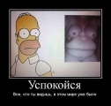 Лучшие демотиваторы.