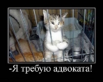 Лучшие демотиваторы.