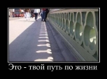 Лучшие демотиваторы.