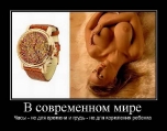 Лучшие демотиваторы.
