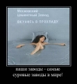 Лучшие демотиваторы.