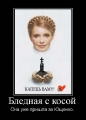 Лучшие демотиваторы.