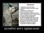 Лучшие демотиваторы.
