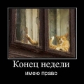 Лучшие демотиваторы.