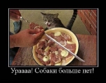 Лучшие демотиваторы.