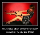 Лучшие демотиваторы.