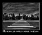 Лучшие демотиваторы.