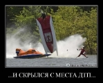 Лучшие демотиваторы.