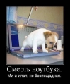 Лучшие демотиваторы.