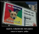 Лучшие демотиваторы.