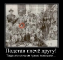 Лучшие демотиваторы.