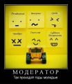 Лучшие демотиваторы.