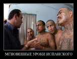 Лучшие демотиваторы.