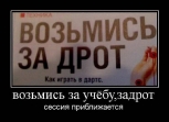 Лучшие демотиваторы.