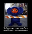 Лучшие демотиваторы.