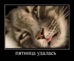 Лучшие демотиваторы.
