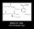 Лучшие демотиваторы.