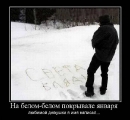 Лучшие демотиваторы.