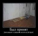 Лучшие демотиваторы.