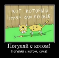 Лучшие демотиваторы.