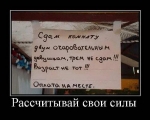 Лучшие демотиваторы.