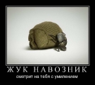 Лучшие демотиваторы.