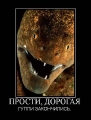 Лучшие демотиваторы.