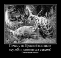 Лучшие демотиваторы.