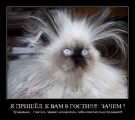 Лучшие демотиваторы.