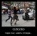 Лучшие демотиваторы.