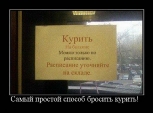 Лучшие демотиваторы.